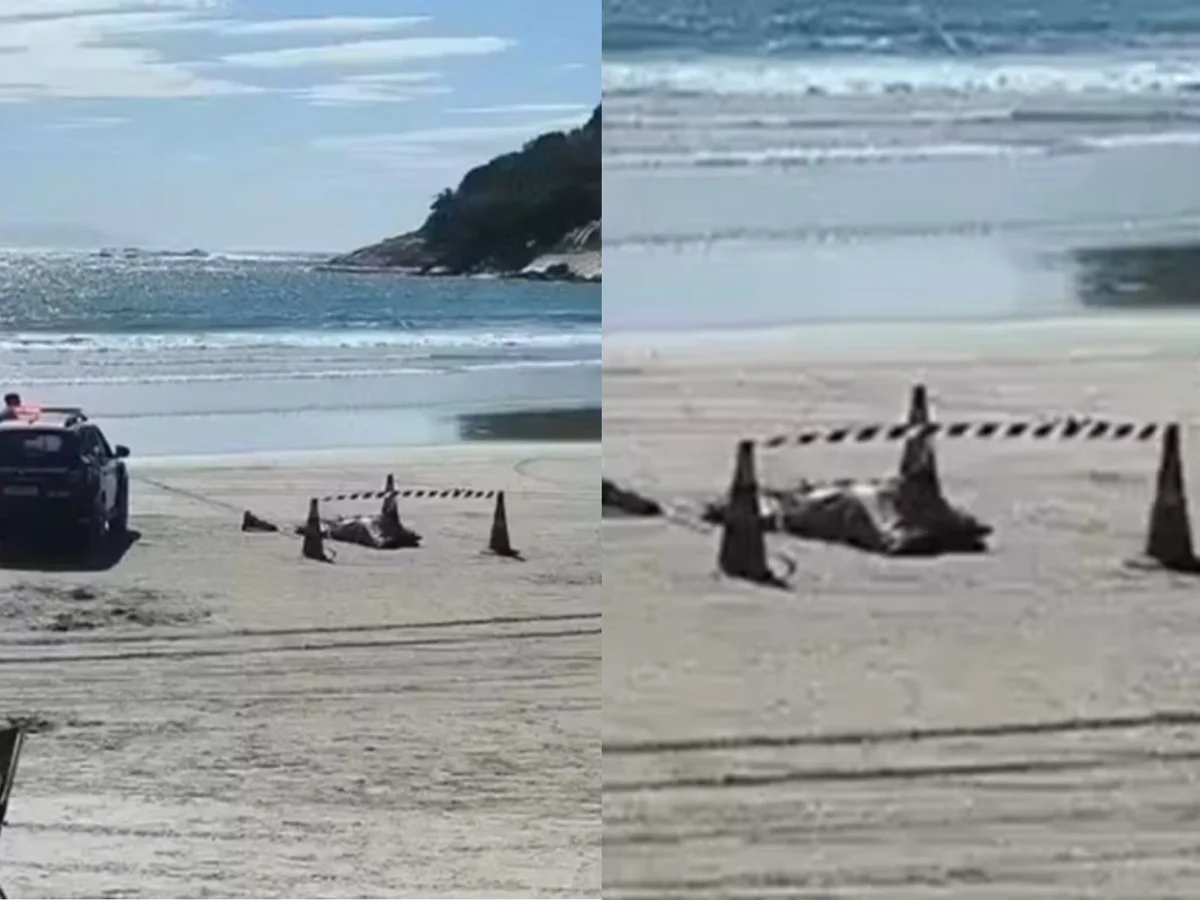 Motorista de app é encontrado morto em praia após 5 dias desaparecido