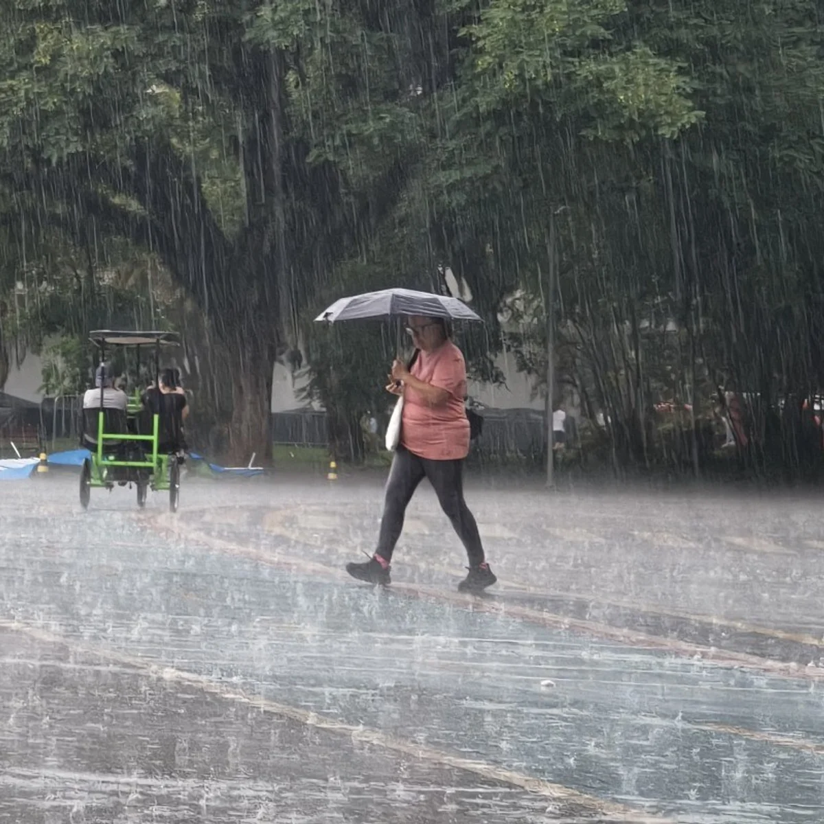 Clima: Sul, Sudeste e Centro-Oeste enfrentam chuvas; interior tem calorão
