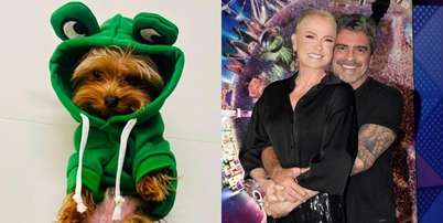 Theozinho era o cachorro mais novo de Xuxa Meneghel e Junno Andrade Foto: @junnoandrade e Blad Meneghel/@xuxameneghel via Instagram / Estad&atilde;o
