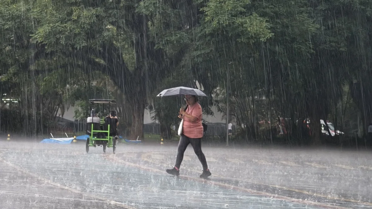 Clima: Sul, Sudeste e Centro-Oeste enfrentam chuvas; interior tem calorão