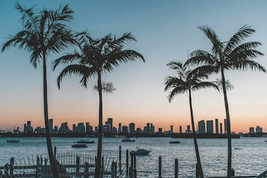 O que esperar de Miami entre outubro e janeiro: cultura, gastronomia e eventos